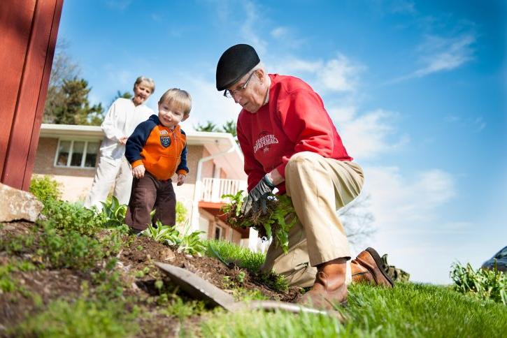 Senior heart patient planting flowers with wife and grandson